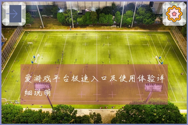爱游戏平台极速入口及使用体验详细说明