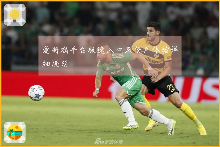 爱游戏平台极速入口及使用体验详细说明